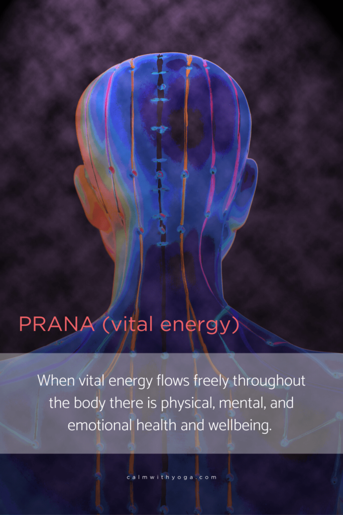 How It Works – Prana Vida