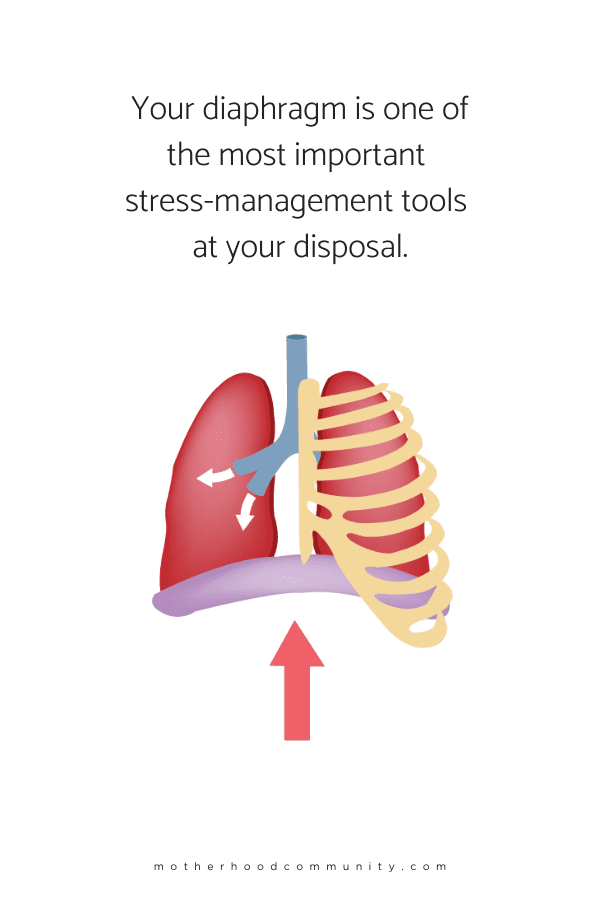 The Dangers Of Deep Breathing  When Done Incorrectly    Motherhood Community - 26