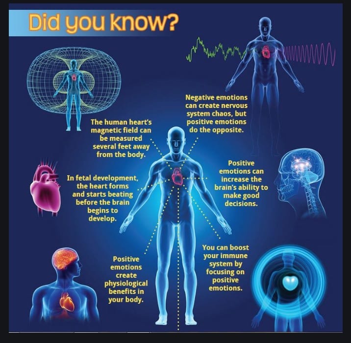 What s HRV  Heart Rate Variability   Why It s Important For Your Physical   Mental Health   Motherhood Community - 39