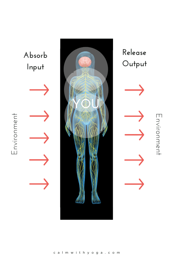 How Your Breath Impacts Your Nervous System   Emotion   Motherhood Community - 76