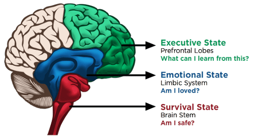 3 Scientific Ways To Calm Down Amygdala   Overactive Limbic System Symptoms   Prevention   Motherhood Community - 67