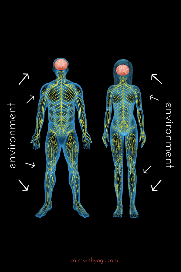 How To Manage Anxiety By Understanding Your Autonomic Nervous System   Motherhood Community - 41