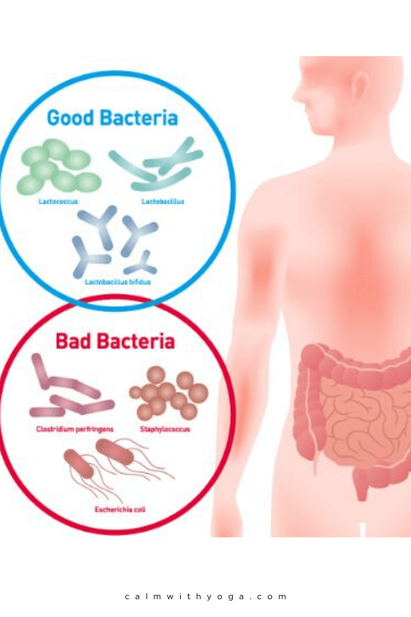 The Microbiome Gut Brain Axis  How Digestive Issues Affect Mind   Emotions    Motherhood Community - 46