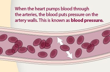 Sukha Pranayama   Easy Breath   Can Have Immediate Positive Effects on High Blood Pressure  Hypertension   Study Finds   Motherhood Community - 52