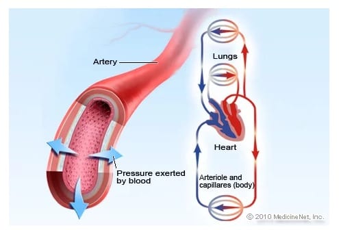 Sukha Pranayama   Easy Breath   Can Have Immediate Positive Effects on High Blood Pressure  Hypertension   Study Finds   Motherhood Community - 30