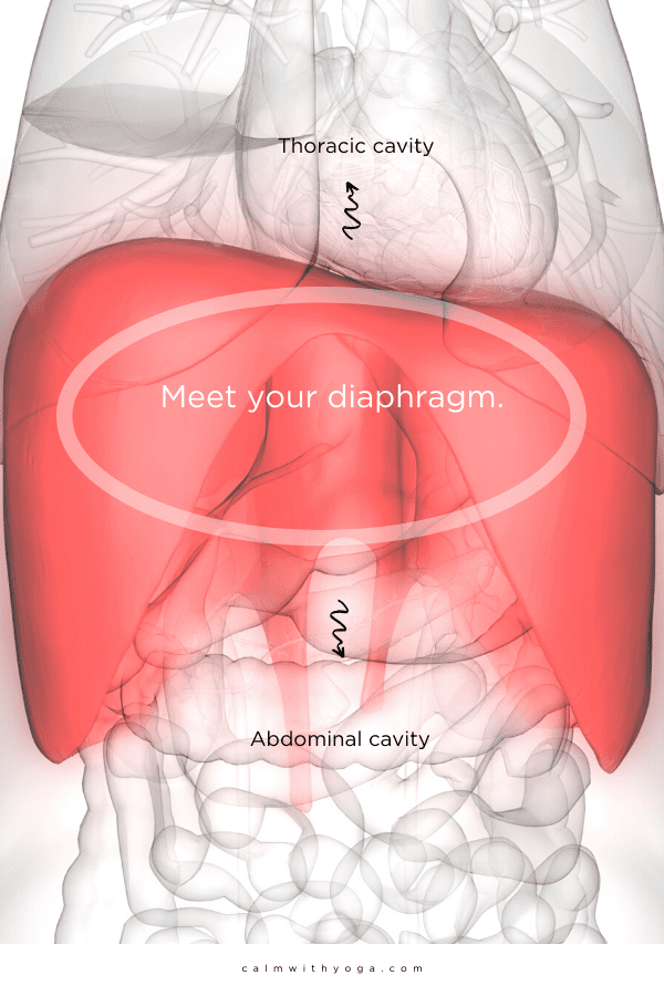 How Emotions Affect Digestive Health   Why Mindful Eating Can Help Improve Gut Issues   Motherhood Community - 32