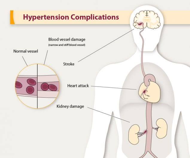 Sukha Pranayama   Easy Breath   Can Have Immediate Positive Effects on High Blood Pressure  Hypertension   Study Finds   Motherhood Community - 78