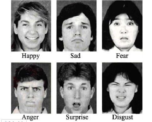 6 basic emotions