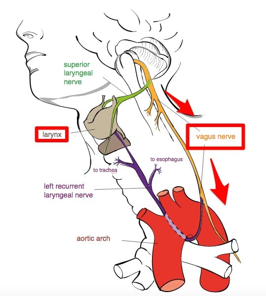 What Chanting   A Mantra Meditation Practice Can Do To Your Brain   According To fMRI Scans   Motherhood Community - 92