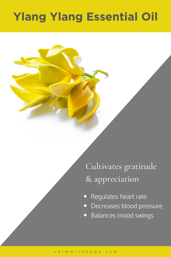 The 10 Best Essential Oils For Anxiety & Stress Relief Motherhood