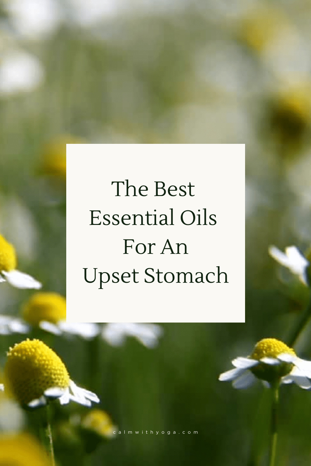 Essential Oils For Diarrhea & Upset Stomach Do They Work? Motherhood