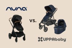 nuna vs uppababy