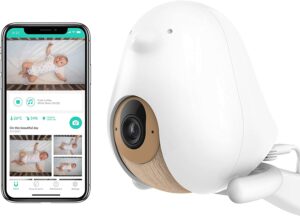 Philips Avent Digital Video Baby Monitor Recall (2023)