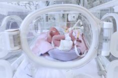 body composition comparison of preterm infants